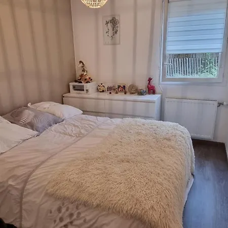 Proche Groupamastadium Apartmán Meyzieu